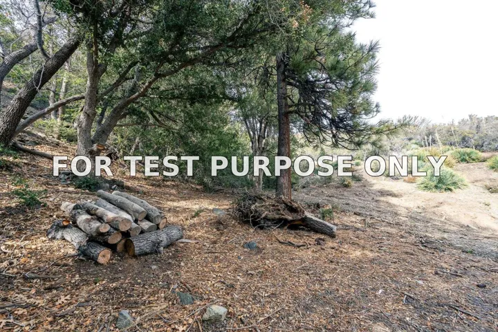 Demo/Test Data 0 Timberline Dr Unit 0, Wrightwood, Ca 93544