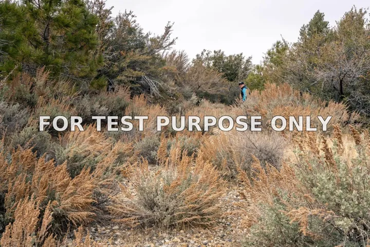 Demo/Test Data 0 Timberline Dr Unit 0, Wrightwood, Ca 93544