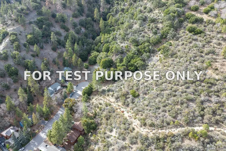 Demo/Test Data 0 Timberline Dr Unit 0, Wrightwood, Ca 93544