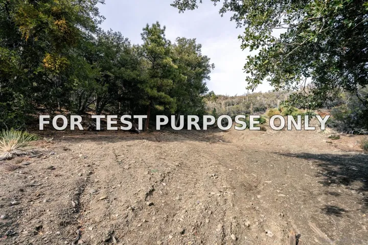 Demo/Test Data 0 Timberline Dr Unit 0, Wrightwood, Ca 93544
