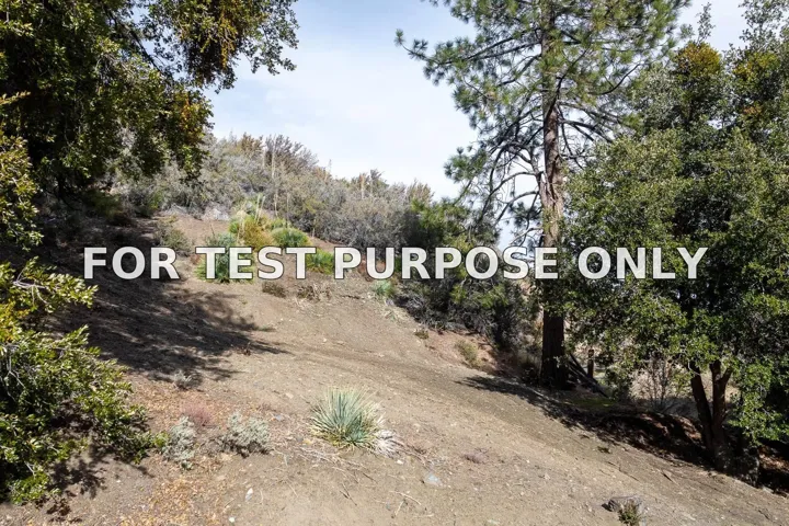 Demo/Test Data 0 Timberline Dr Unit 0, Wrightwood, Ca 93544