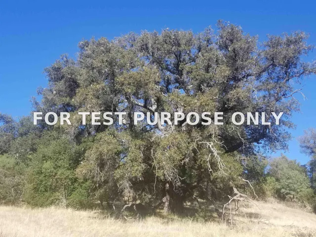 Demo/Test Data 15.49 Ac Engineers Road Unit 290-141-40-00, Julian, Ca 92036