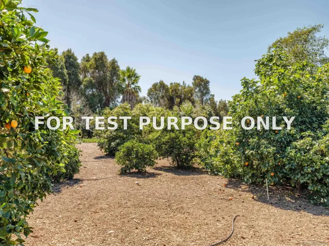 Demo/Test Data 4763 El Mirlo, Rancho Santa Fe, Ca 92067
