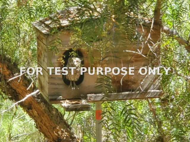 Demo/Test Data 2449 Nido Aguila, Alpine, Ca 91901