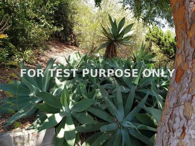 Demo/Test Data 3069 Hunrichs Way, San Diego, Ca 92117