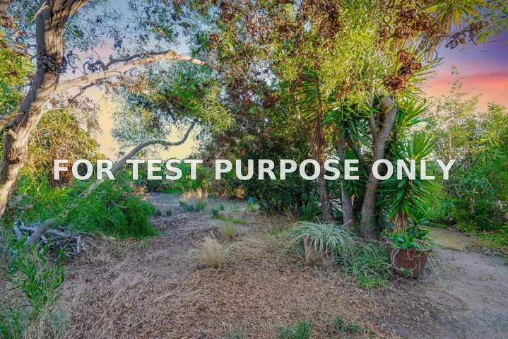 Demo/Test Data 1632 Monmouth Dr, San Diego, Ca 92109