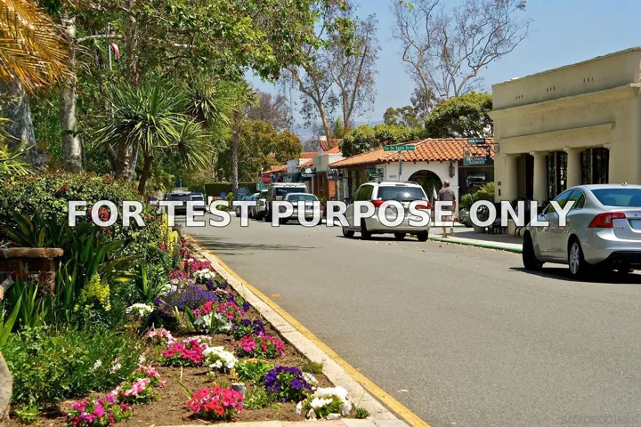 Demo/Test Data 6130 El Romero, Rancho Santa Fe, Ca 92067
