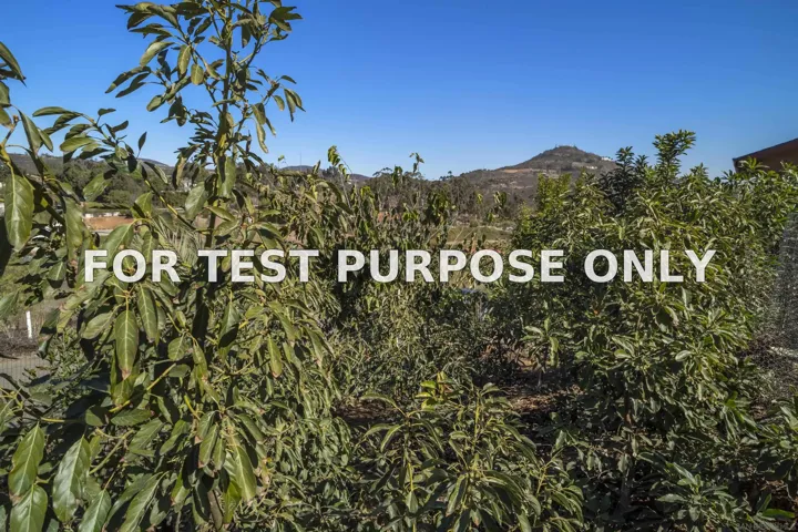 Demo/Test Data 3605 1/2 Fortuna Ranch Rd, Encinitas, Ca 92024