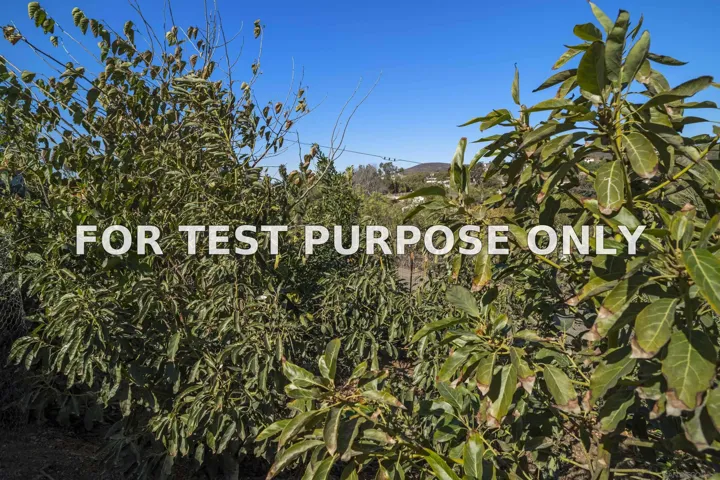 Demo/Test Data 3605 1/2 Fortuna Ranch Rd, Encinitas, Ca 92024