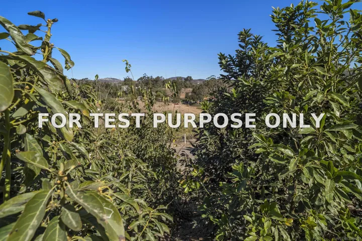 Demo/Test Data 3605 1/2 Fortuna Ranch Rd, Encinitas, Ca 92024