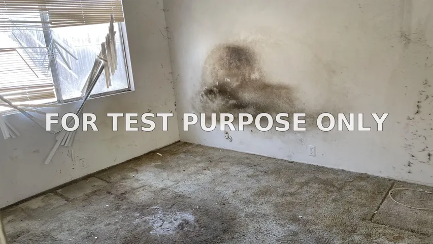 Demo/Test Data 2840 Donax, San Diego, Ca 92154