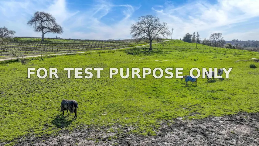 Demo/Test Data 21619 E Hwy 12 Road, Clements, Ca 95227