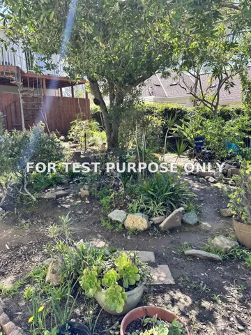 Demo/Test Data 118 W 8th Ave, Escondido, Ca 92025