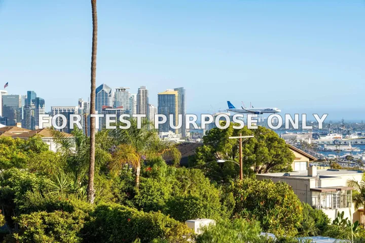 Demo/Test Data 2920 Union St Unit 205, San Diego, Ca 92103