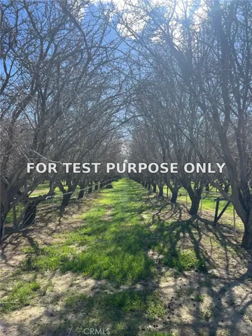 Demo/Test Data 1 W Marmon, Coalinga, Ca 93210