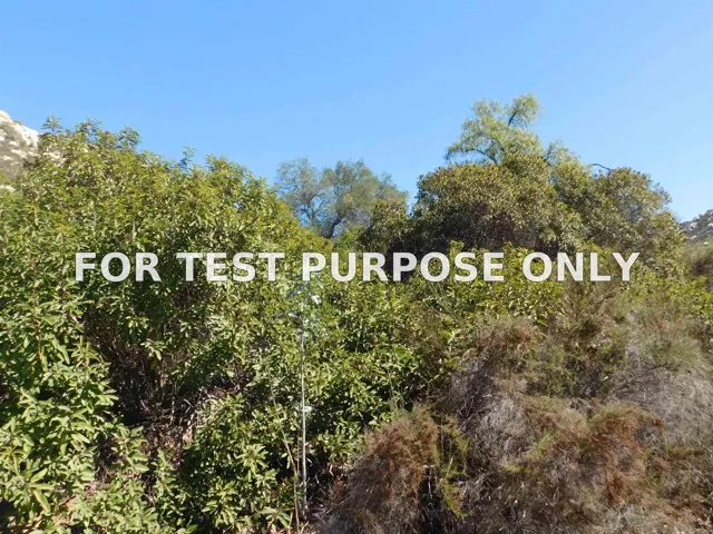 Demo/Test Data Honey Springs Rd Unit 56, Jamul, Ca 91935