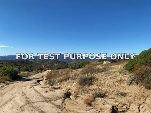 Demo/Test Data 42617 Wild Horse, Anza, Ca 92539