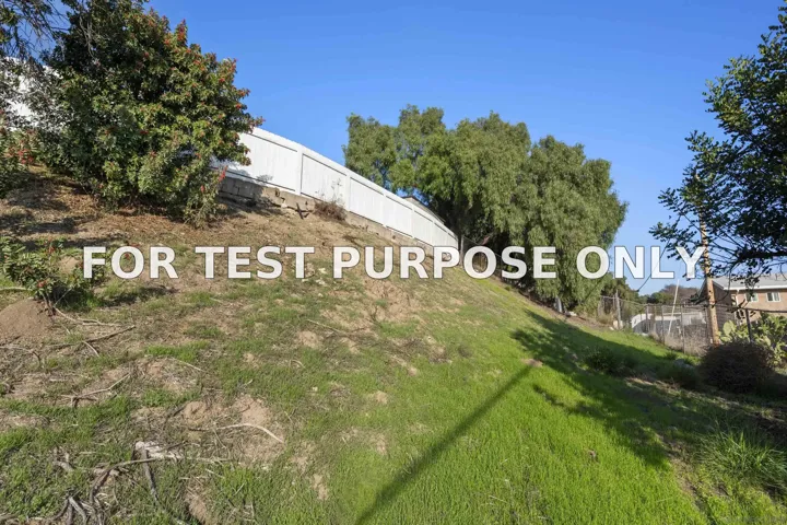 Demo/Test Data 1221 Braddock St, San Diego, Ca 92114