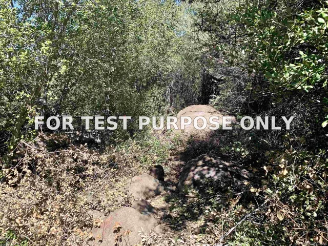 Demo/Test Data 5253 Acorn Patch Rd Unit 0, Julian, Ca 92036
