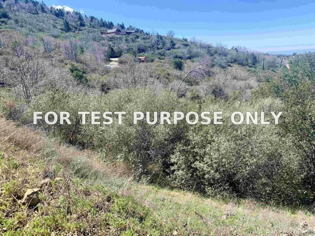Demo/Test Data 5253 Acorn Patch Rd Unit 0, Julian, Ca 92036