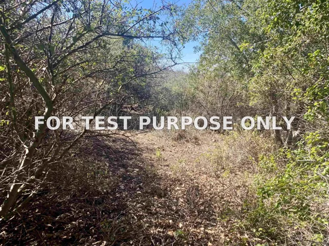 Demo/Test Data 5253 Acorn Patch Rd Unit 0, Julian, Ca 92036