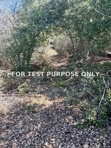Demo/Test Data 5253 Acorn Patch Rd Unit 0, Julian, Ca 92036
