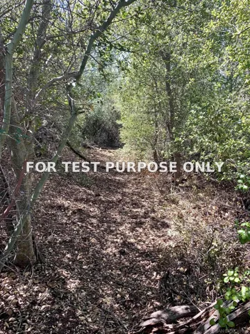 Demo/Test Data 5253 Acorn Patch Rd Unit 0, Julian, Ca 92036