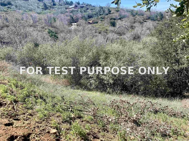 Demo/Test Data 5253 Acorn Patch Rd Unit 0, Julian, Ca 92036