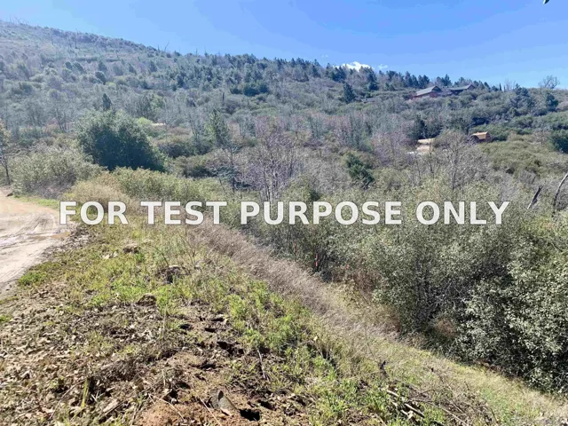 Demo/Test Data 5253 Acorn Patch Rd Unit 0, Julian, Ca 92036