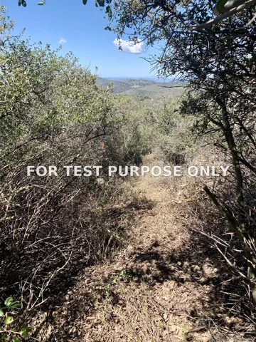 Demo/Test Data 5253 Acorn Patch Rd Unit 0, Julian, Ca 92036