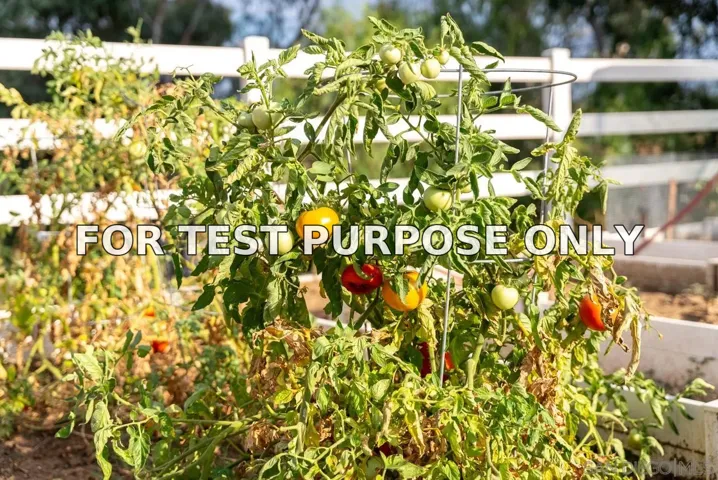 Demo/Test Data 15091 Chemise Creek Rd, Ramona, Ca 92065