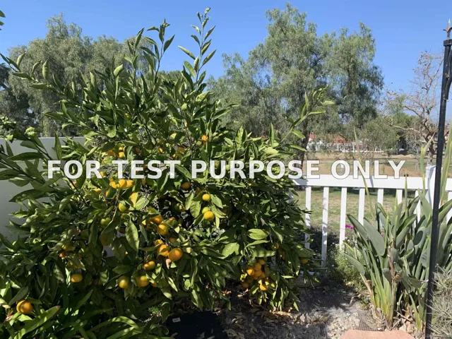 Demo/Test Data 5062 Mycenae Way, Oceanside, Ca 92056