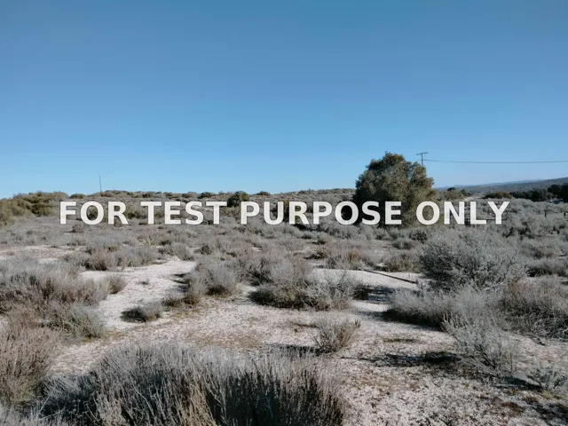 Demo/Test Data 40135 Ribbonwood Rd Unit 0, Boulevard, Ca 91905