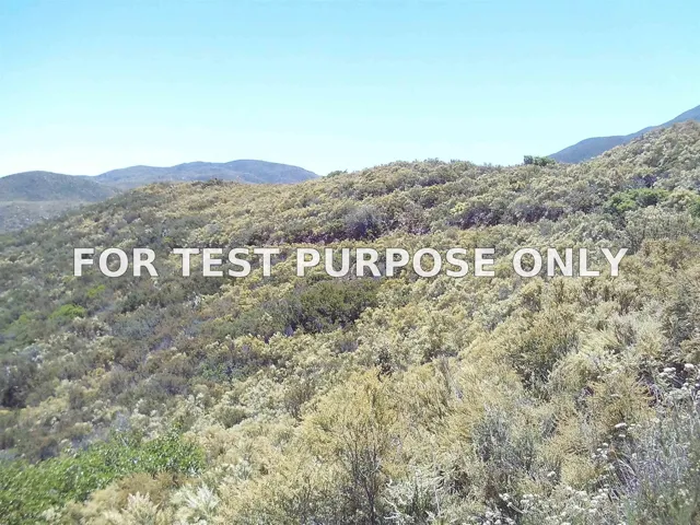Demo/Test Data 0 Highway 78 Unit 5, Julian, Ca 92036
