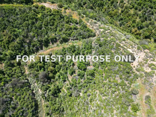 Demo/Test Data 0000 Paseo Chaparro Unit B, 2