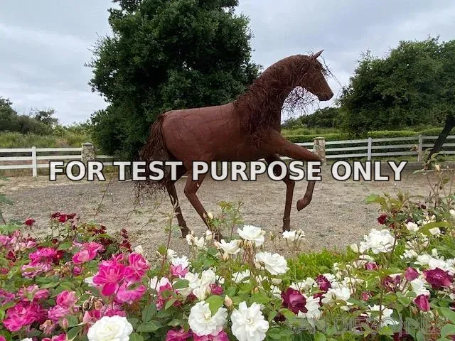 Demo/Test Data 0000 Paseo Chaparro Unit B, 2
