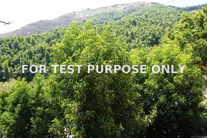 Demo/Test Data 34403 Pauma Ridge Rd Unit 46, 47, 48, 49