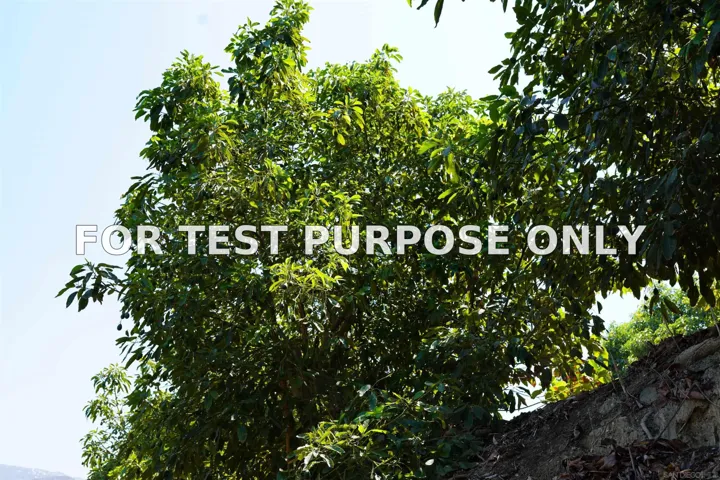 Demo/Test Data 34403 Pauma Ridge Rd Unit 46, 47, 48, 49