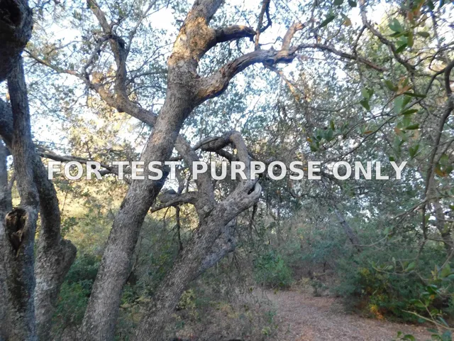Demo/Test Data 0 Pine Hills Rd Unit Pm03064 Par 3, Julian, Ca 92036