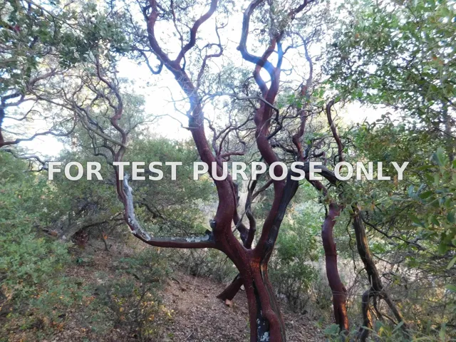 Demo/Test Data 0 Pine Hills Rd Unit Pm03064 Par 3, Julian, Ca 92036