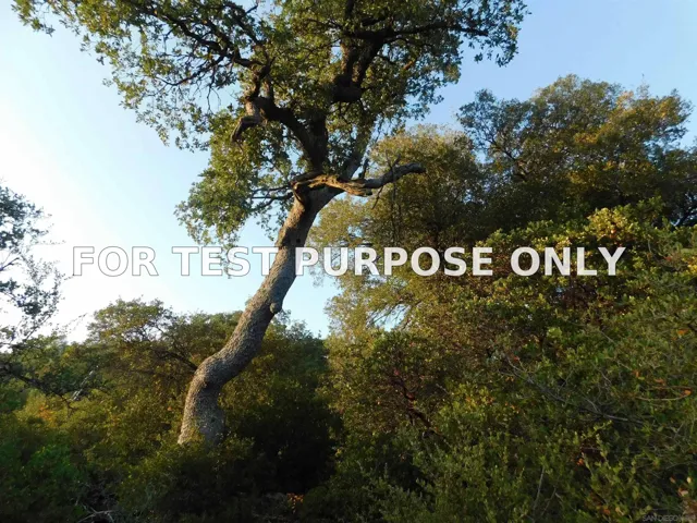 Demo/Test Data 0 Pine Hills Rd Unit Pm03064 Par 3, Julian, Ca 92036