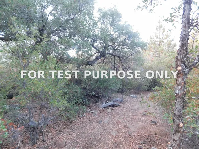Demo/Test Data 0 Pine Hills Rd Unit Pm03064 Par 3, Julian, Ca 92036