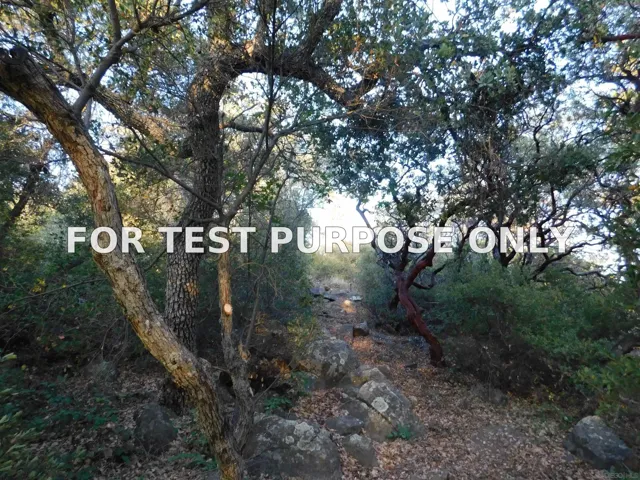 Demo/Test Data 0 Pine Hills Rd Unit Pm03064 Par 3, Julian, Ca 92036