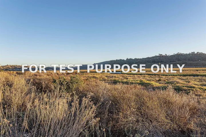 Demo/Test Data 2372 Carmel Valley Rd, Del Mar, Ca 92014