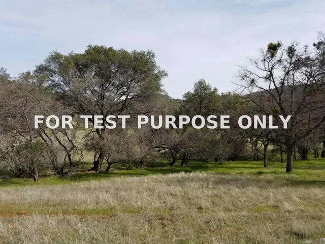 Demo/Test Data 0314 Carmen Valley Road, Copperopolis, Ca 95228