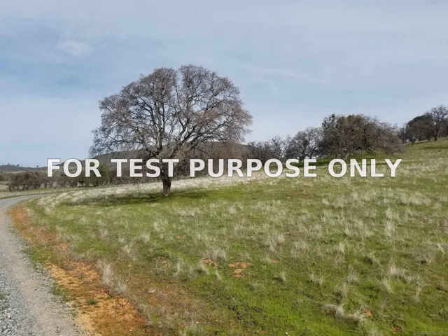 Demo/Test Data 0314 Carmen Valley Road, Copperopolis, Ca 95228