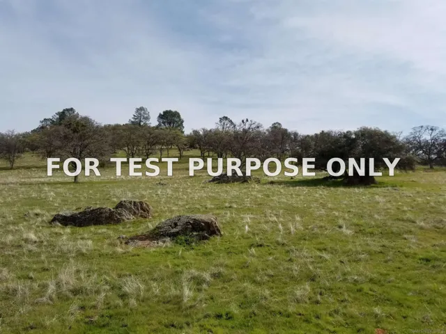 Demo/Test Data 0314 Carmen Valley Road, Copperopolis, Ca 95228