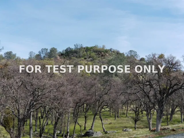 Demo/Test Data 0314 Carmen Valley Road, Copperopolis, Ca 95228