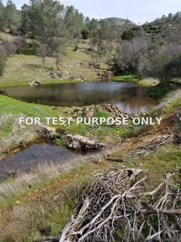 Demo/Test Data 0314 Carmen Valley Road, Copperopolis, Ca 95228