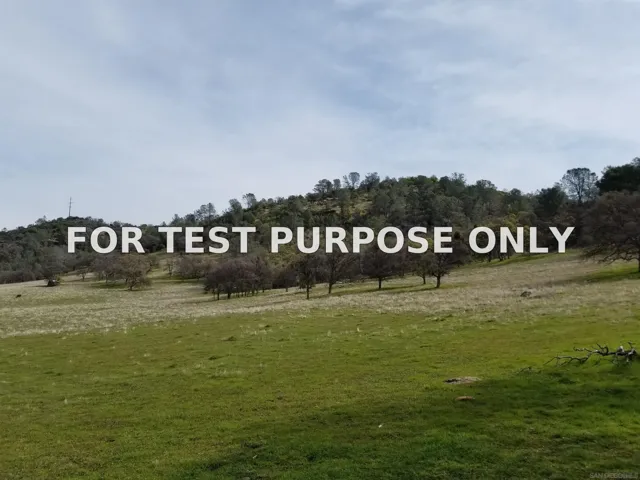 Demo/Test Data 0314 Carmen Valley Road, Copperopolis, Ca 95228